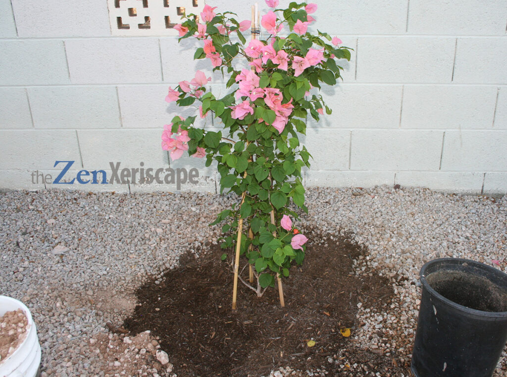 amend soil with organic garden soil