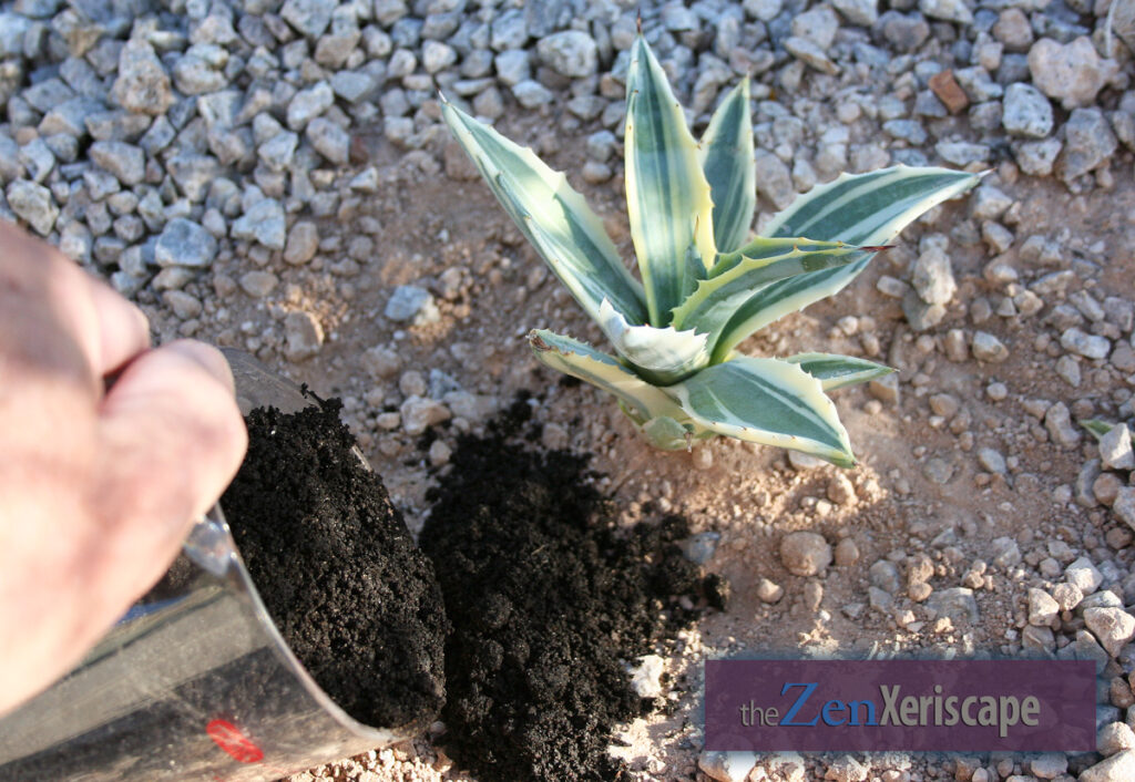 amend soil with earthworm castings