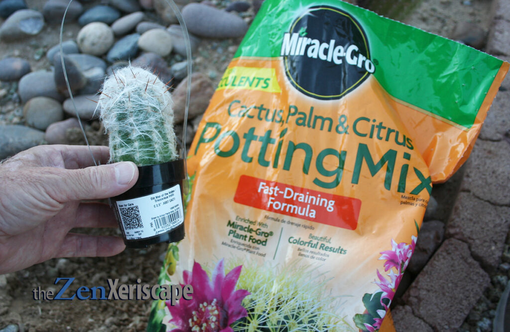 Old Man of the Andes has long, dense hair