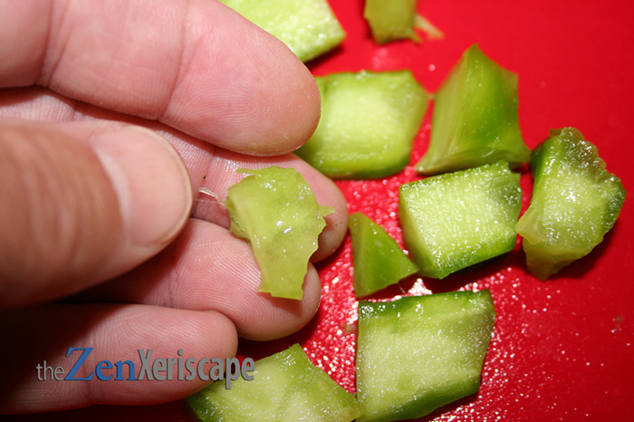 dice or cube spineless prickly pear cactus pad flesh