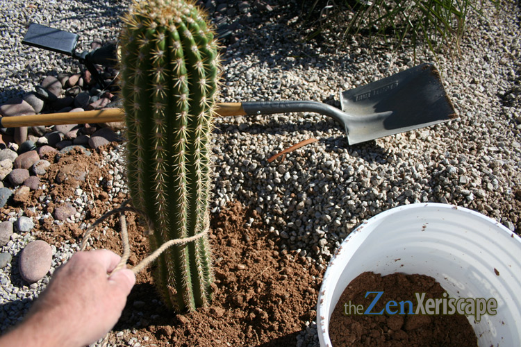 fill hole with dirt and position column