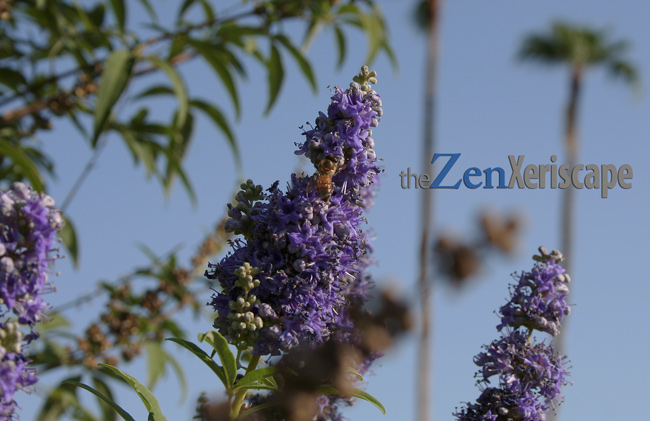 A bee pollinating a flower A bee pollinating a flower